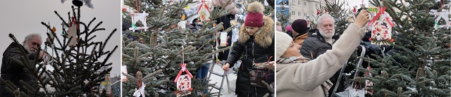 Wychowawcy świetlicy dekorujący choinkę na Placu Jagiellońskim