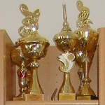 Trzy złote puchary stojące na półce
