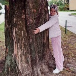 Dziecko przytulone do drzewa